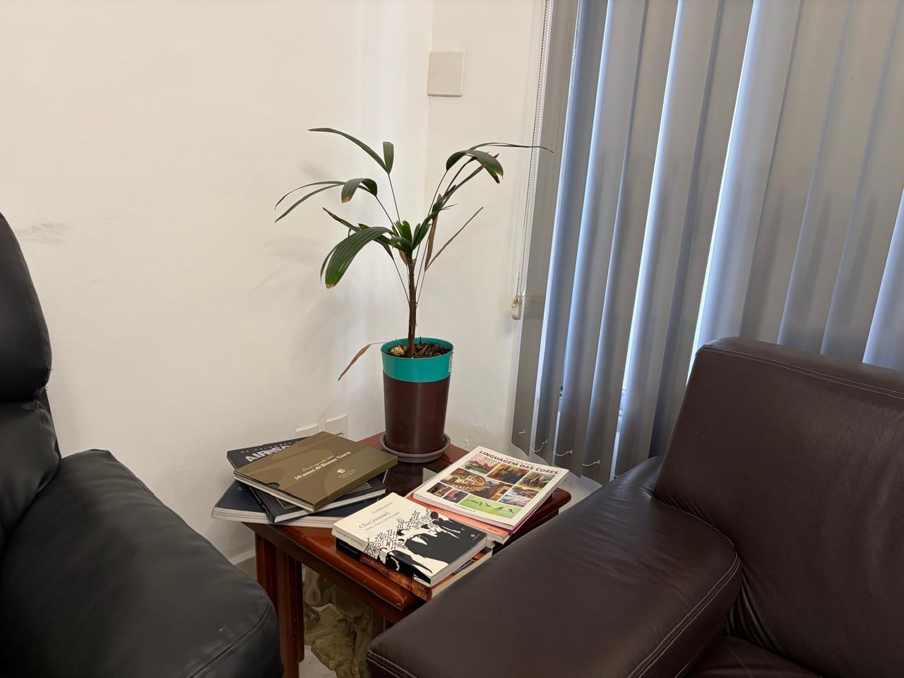 Sala aconchegante com livros